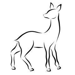 a young deer or doe, black contour