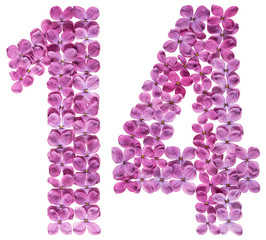 Arabic numeral 14, fourteen, from flowers of lilac, isolated on white background