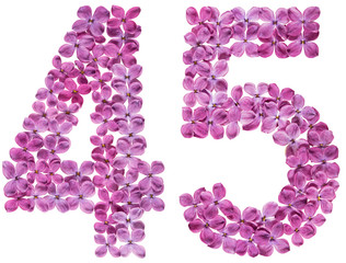Arabic numeral 45, forty five, from flowers of lilac, isolated on white background