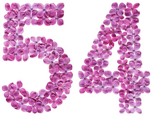 Arabic numeral 54, fifty four, from flowers of lilac, isolated on white background