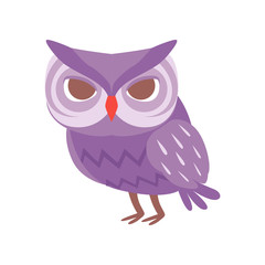 Cute cartoon purple owlet bird character vector Illustration on a white background
