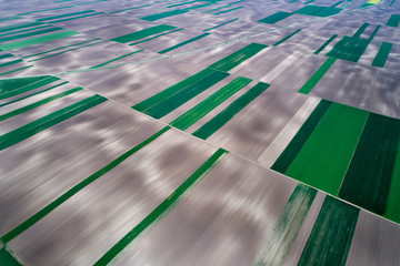 Top view of agricultural parcels © Budimir Jevtic