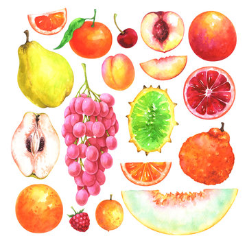 Hand painted fruits set. Watercolor collection of cherry, mandarin, apricot, ugli fruit, quince, orange, raspberry, ximenia, nectarine, muskmelon, horned melon, grapes isolated on white background