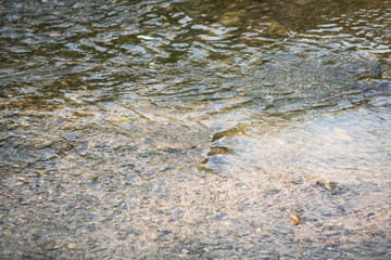 Transparent water flow and a pebbly riverbed of a rapid rivulet.