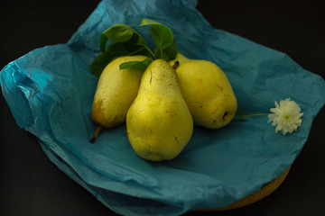 pears, still life, yellow, paper, grunge