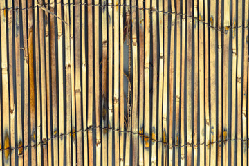 Photographs of textures for any background