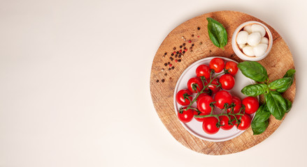 Tomatoes, basil, mozzarella cheese. Caprese salad ingredients