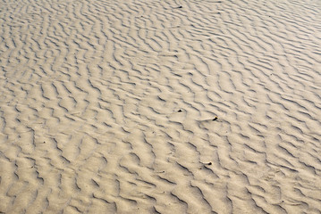 sand background