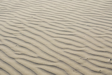 sand background