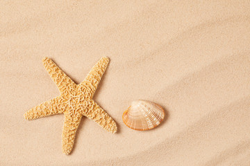 Fototapeta na wymiar Starfish and cockleshell on sand background