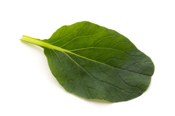 Spinach leaves close up isolated on white.