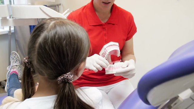 4k footage of dentist using plastic teeth model to teach patient how to use toothbrush