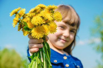 Girl, child, flowers dandelions in the spring plays. Selective focus. 