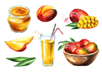 Mango composition set. Watercolor hand drawn illustration,  isolated on white background