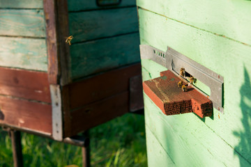 Obraz na płótnie Canvas bee apiary. bee hives. old wooden beehive with bees