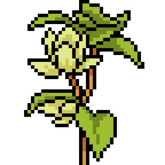 Fototapeta premium vector pixel art flower branch