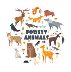 Wild forest animals and birds arranged in circle. Vector cover design