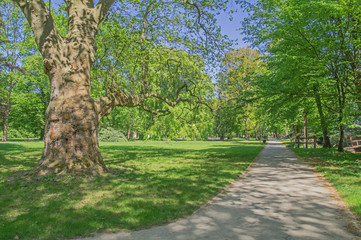 Wiosna w parku.  © boguslavus