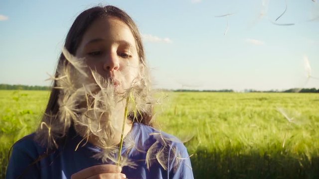 Girl blowing up the dandelion seeds on green field