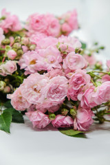 Obraz na płótnie Canvas Pink miniature roses on white background 