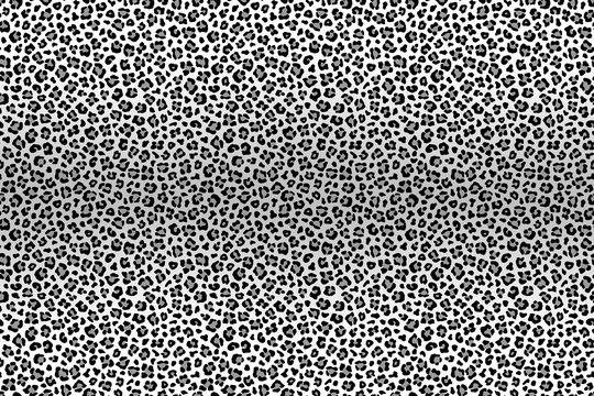 Gray leopard fur, horizontal texture. Vector