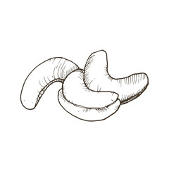 Hand drawn nuts collection. Vector sketch of nuts isolated on white background.