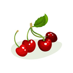 Ripe cherries with green leaf. Sweet and tasty berries. Natural and fresh food. Flat vector element for juice packaging