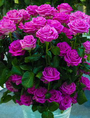 bouquet of roses