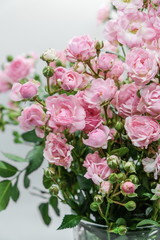 Pink miniature roses on white background 