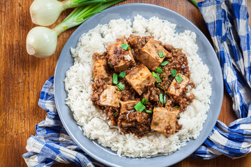 Mapo Tofu - sichuan spicy dish served with rice