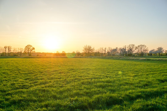 spring sunset 