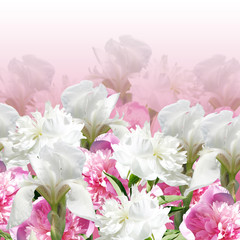 Beautiful floral background with peonies and irises 