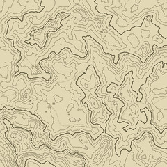 Topographic map background concept with space for your copy. Topography lines art contour , mountain hiking trail , Shape vector design. Computer generated   .