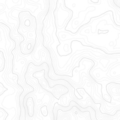 Topographic map background concept with space for your copy. Topography lines art contour , mountain hiking trail , Shape design. Computer generated  . - obrazy, fototapety, plakaty