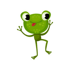 Happy dancing frog with tongue out. Green reptile with shiny eyes, big head and long legs. Flat vector design for children book