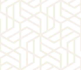 SET 100 Hexagonal Shapes Tiling 04 S