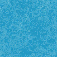Topographic map background concept with space for your copy. Topography lines art contour , mountain hiking trail , Shape vector design. Computer generated   .