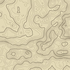 Topographic map background concept with space for your copy. Topography lines art contour , mountain hiking trail , Shape vector design. Computer generated   .