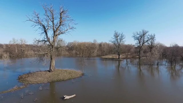 FLIGHT OVER THE RIVER AND THE LARGE TREES. THE RIVER OF PSEL, UKRAINE.