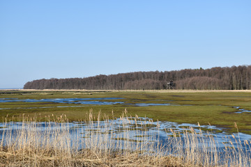 Green wetland, a great water resevoir