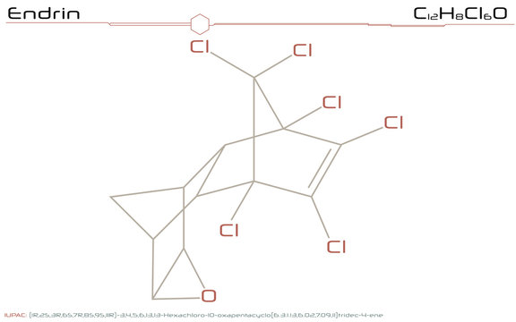 Large and detailed infographic of the molecule of Endrin.