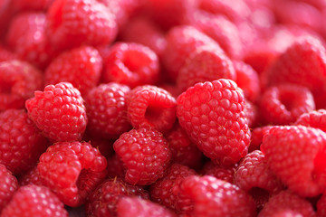 Ripe raspberries macro. Selective focus. Fruit background with copy space. Summer and berries harvest concept. Vegan, vegetarian, raw food.