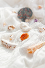 Fototapeta na wymiar White textile background with different shells. Sea corals on fabric with ruches.