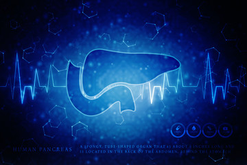 2d illustration Pancreas - obrazy, fototapety, plakaty