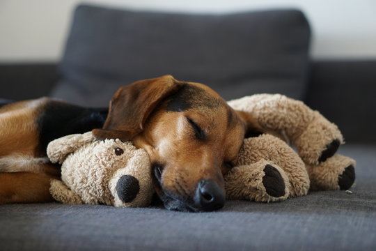 Kuschelzeit