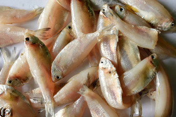 Fresh mackerel fish stack on white table 