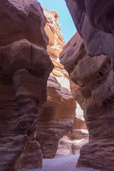 Beautiful geological formation in desert, colorful sandstone canyon walking route, Red Canyon, Israel, Negev desert