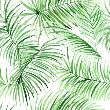 Watercolor palm leaves pattern. 