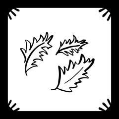 Fototapeta na wymiar Outline drawing of three leaves in a frame