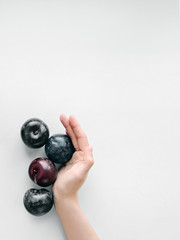 Fototapeta premium Plums Top view Girl is holding a handful of ripe plums in her hands Photo with copy space processed by VSCO filter Minimalist style